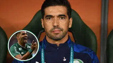 Abel Ferreira em destaque
