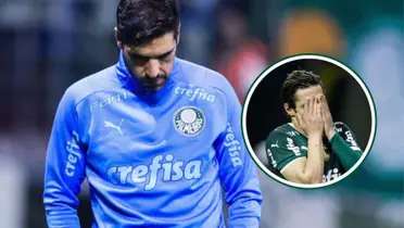 Abel Ferreira em destaque