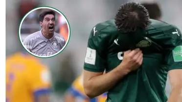 Abel Ferreira em detalhe