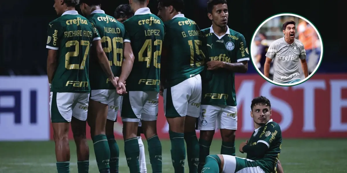 Abel Ferreira em detalhe