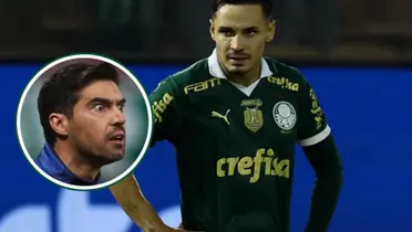 Abel Ferreira em detalhe