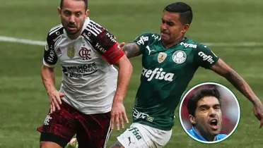 Abel Ferreira no detalhe
