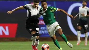 Foto: Palmeiras/Divulgação