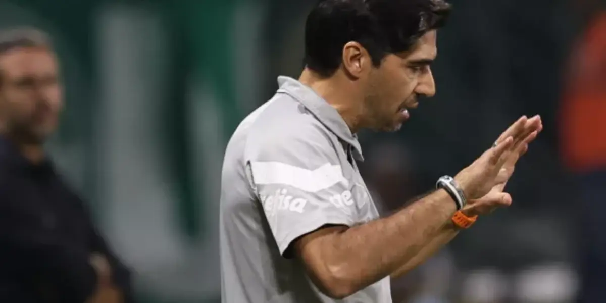 Foto: Palmeiras/Divulgação