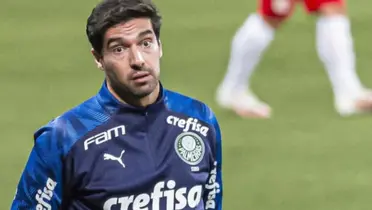 Foto: Palmeiras/Divulgação