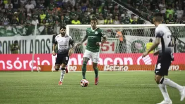 Foto: Palmeiras/Divulgação