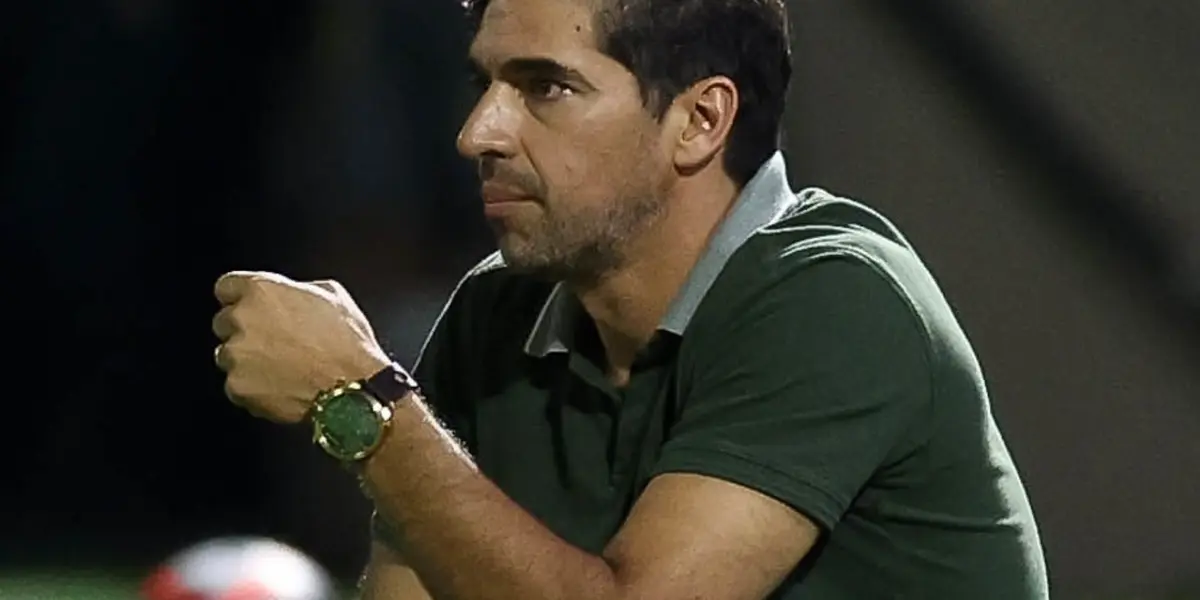 Foto: Palmeiras/Divulgação