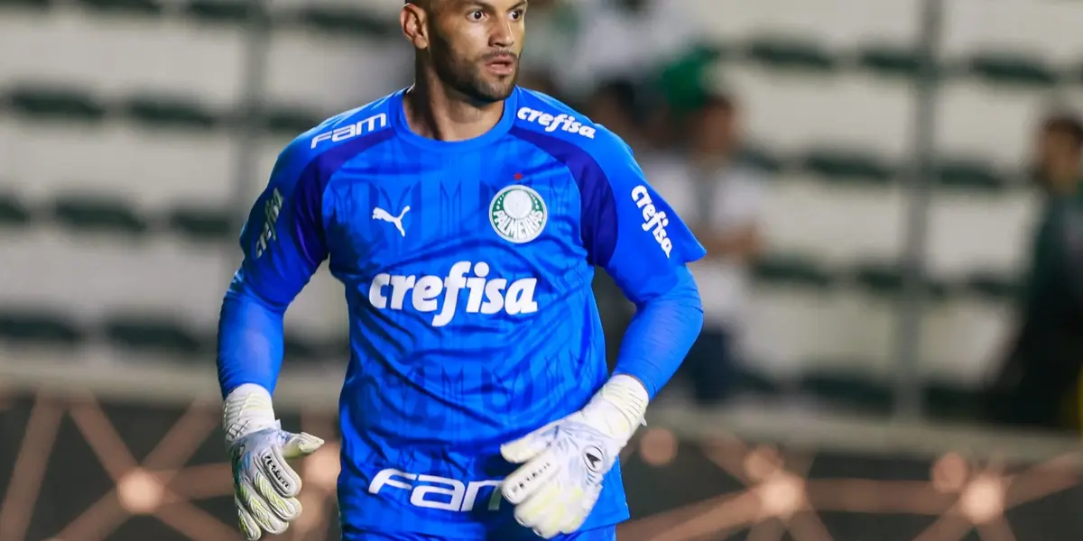 Foto: Palmeiras/Divulgação