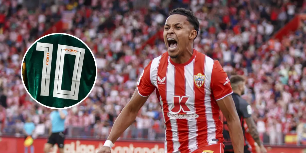 Palmeiras