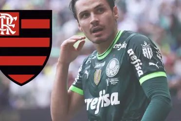 Palmeiras encontra reserva para Veiga