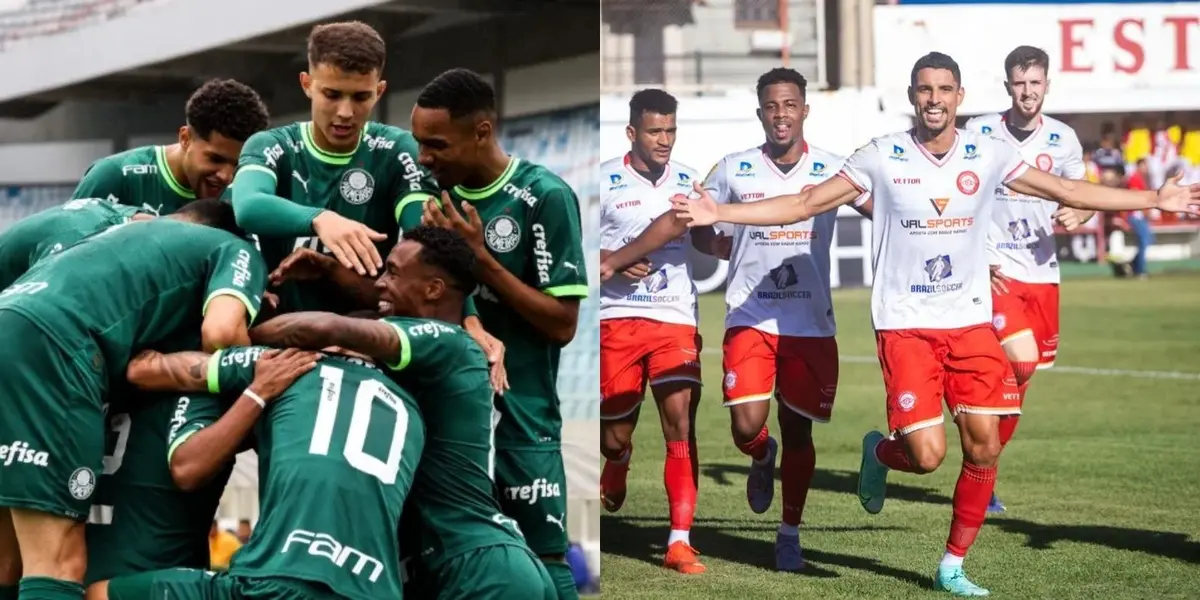 Conheça o próximo adversário do Palmeiras