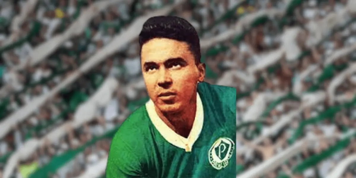 Craque do Verdão de outrora se foi tristemente para os palestrinos.