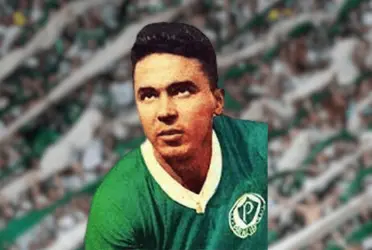 Craque do Verdão de outrora se foi tristemente para os palestrinos.