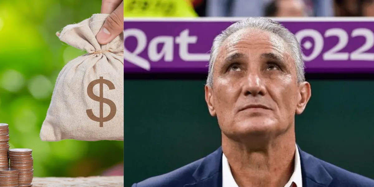 Ex-comandante da seleção poderia assumir o alviverde