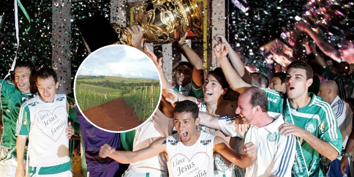 Ex-jogador do Palmeiras foi campeão com a equipe em 2008