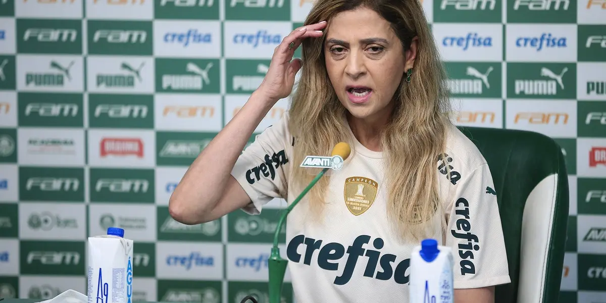 Facundo Sava sobre Palmeiras: "Eles acabaram defendendo, gastando tempo