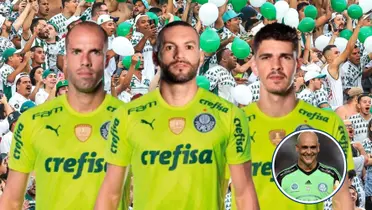 Goleiros do Verdão em destaque