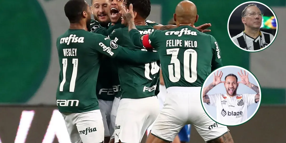 Jogadores do Palmeiras em destaque