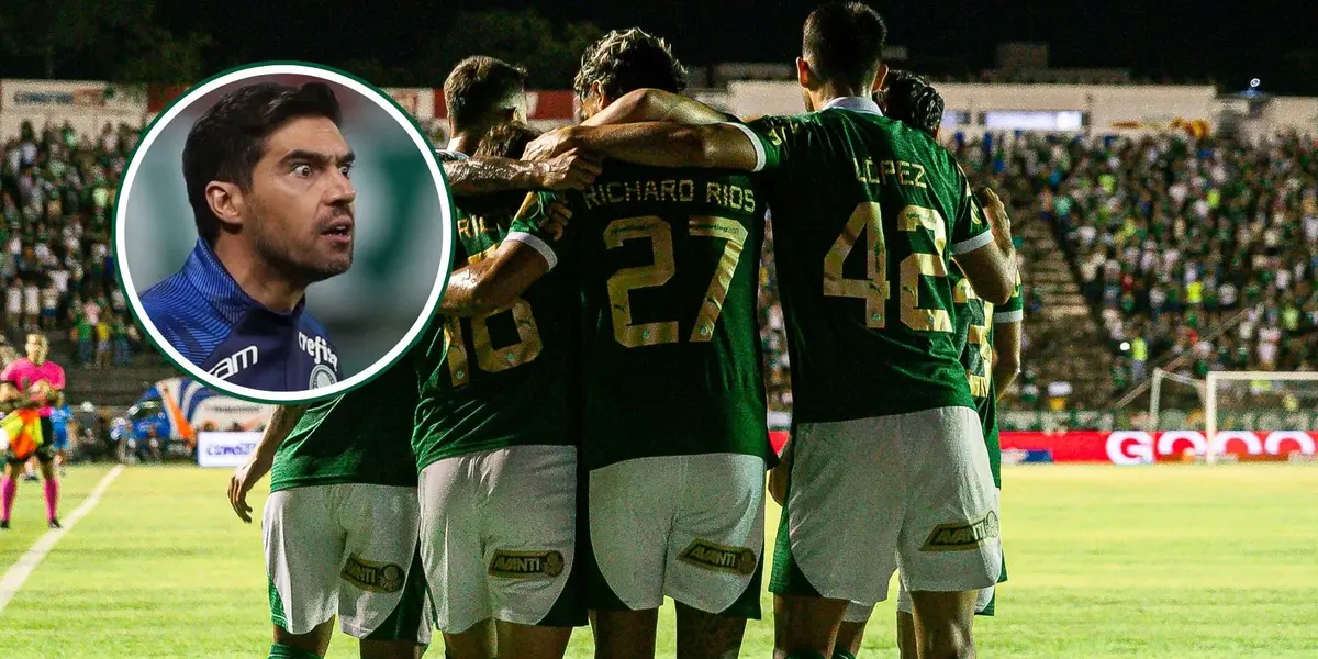 Jogadores do Palmeiras em destaque