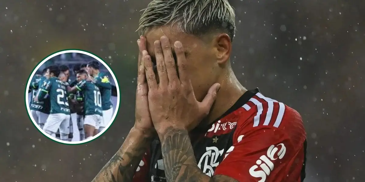 Jogadores do Palmeiras em destaque