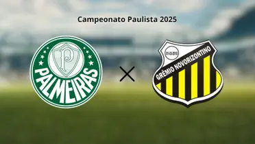 Palmeiras enfrenta o Novorizontino