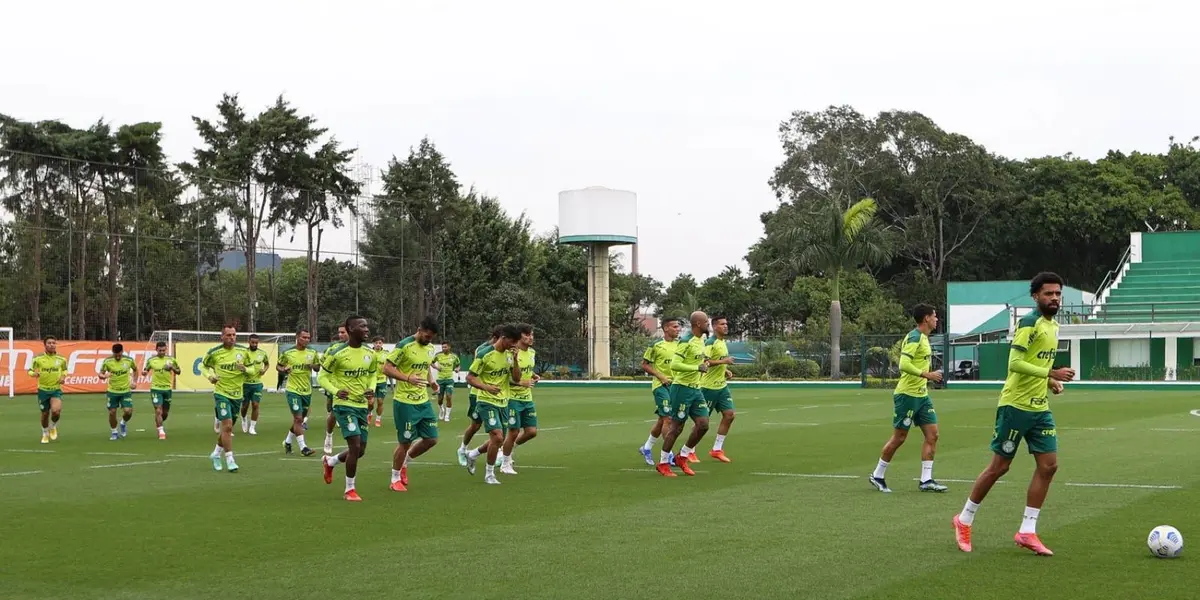 Palmeiras entra em campo hoje pela Libertadores