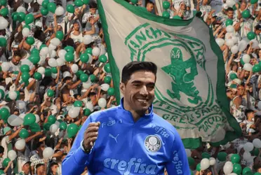 Palmeiras recebeu boa notícia que ajuda na fase final do Brasileirão