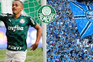 Papagaio anda sendo monitorado por grandes equipes.