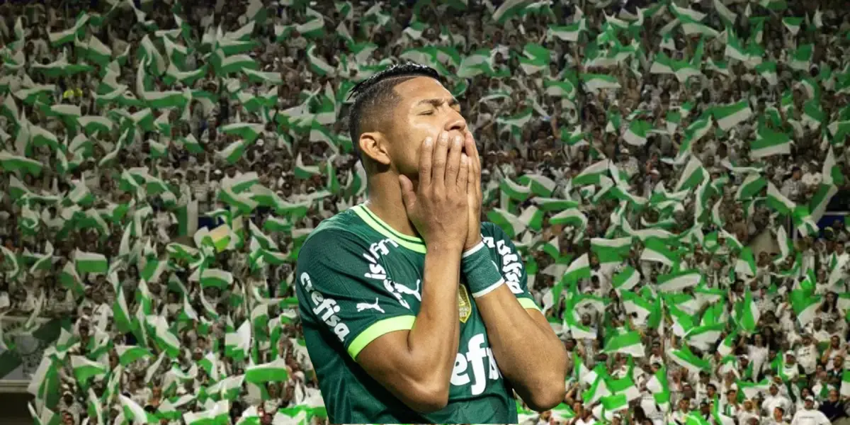 Um torcedor invadiu o campo durante partida do Palmeiras