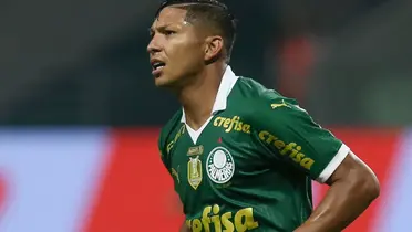 Foto: Palmeiras/Divulgação