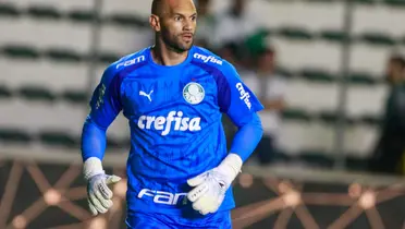Foto: Palmeiras/Divulgação